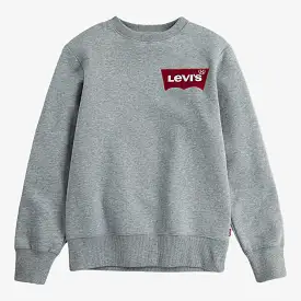 Boys Oversized Batwing Crewneck Sweatshirt