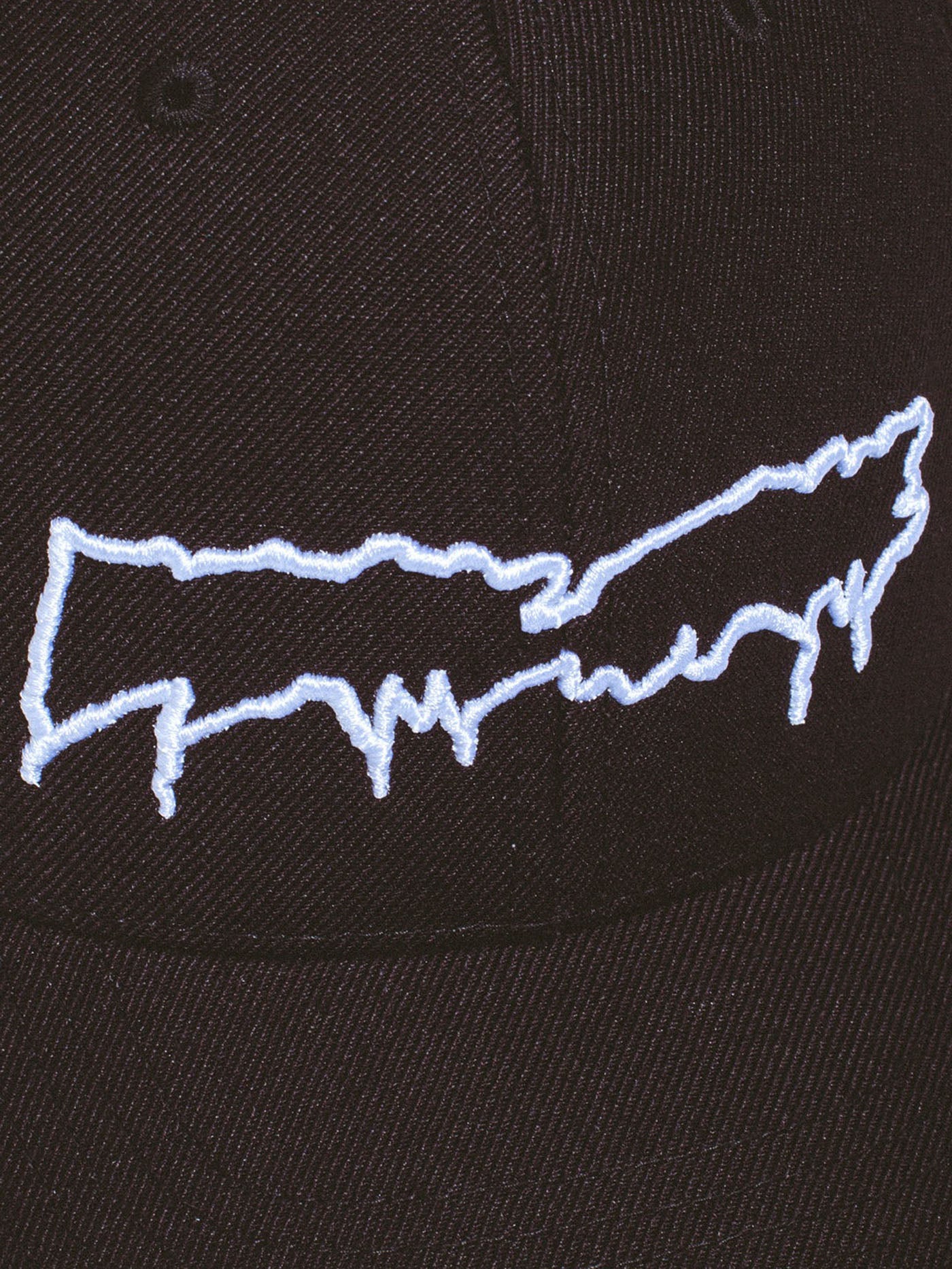 Drip Logo Snapback Hat