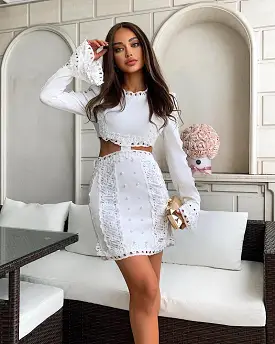 Lace Cut Out Mini Embroidered Dress