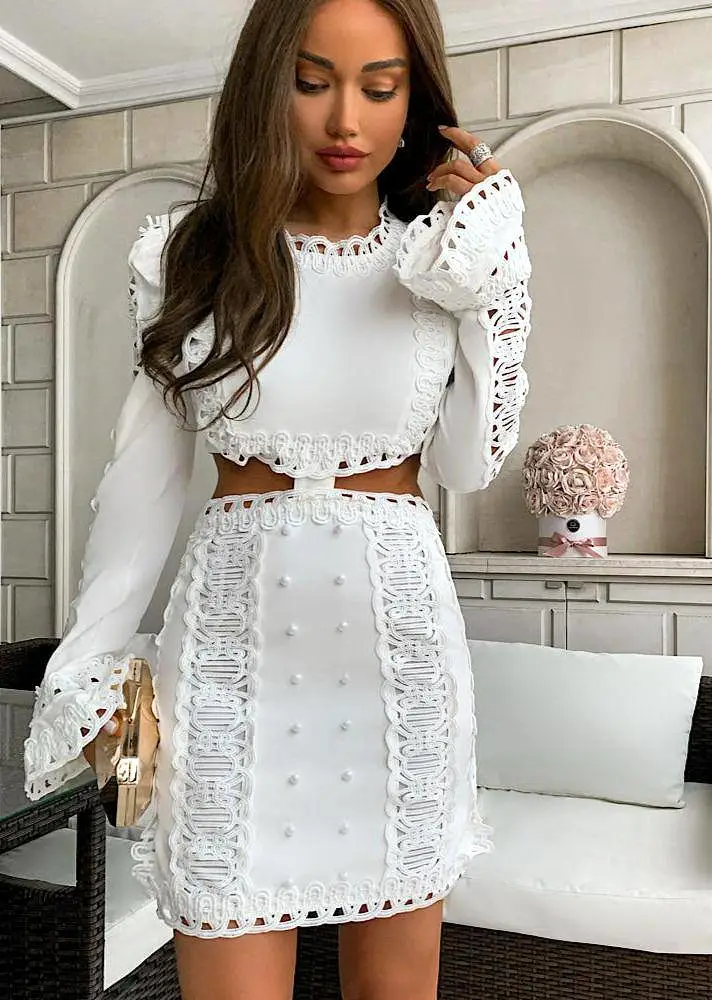 Lace Cut Out Mini Embroidered Dress